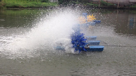 Ceea ce determină dispunerea aeratoarelor de iaz cu pești