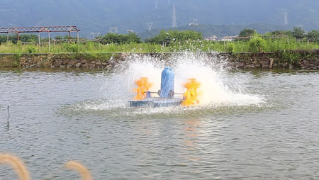 Alegerea și instalarea aeratorului pentru iaz cu pești